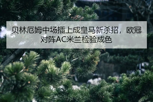bei-lin-e-mu-zhong-chang-cha-shang-cheng-huang-ma-xin-sha-zhao-ou-guan-dui-zhen-mi-lan-jian-yan-cheng-se-2-239.jpg